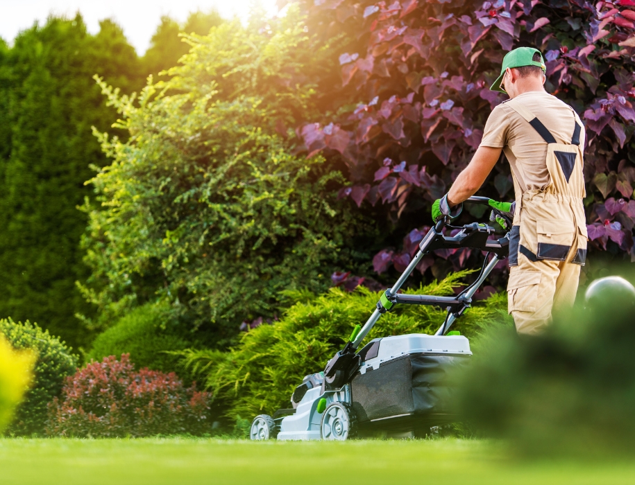 Facility Management und Hausmeisterservice Mitteldeutschland